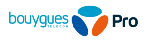 Logo_BTPro_Horizontal_RVB-1-300x87