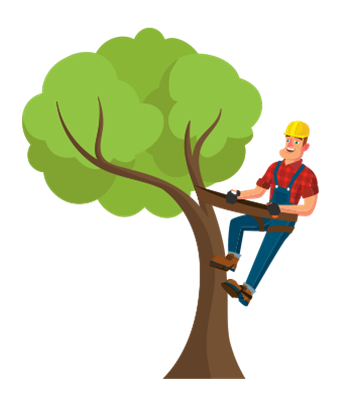 L’élagage d’un arbre qui déborde sur la voie publique ets une obligation